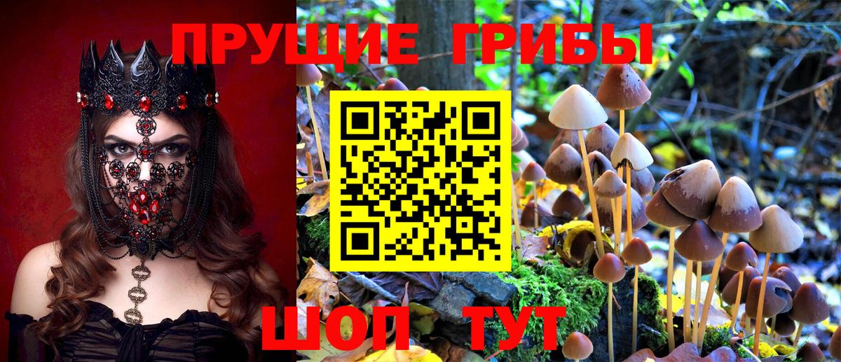 Псилоцибиновые грибы Magic Shrooms  Вход с VPN  Дербент  Галлюциногенные грибы Magic Shrooms 